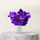 Royal Magic Vanda Cut Orchid in Vase