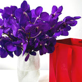 Royal Magic Vanda Cut Orchid in Vase