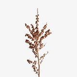 Copper Ilex