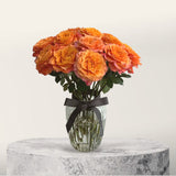 Cosimo Garden Rose