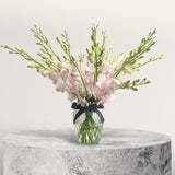 Powder Pink Dendrobium Cut Orchid