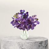 Midnight Garden Vanda Cut Orchid