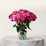 Marquess Rose