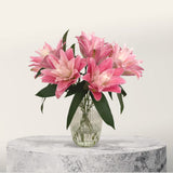 Abundance Rose Lily