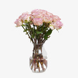 Antico Rose
