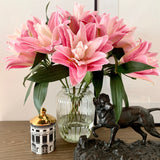 Abundance Rose Lily
