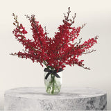 Ruby Mokara Orchid