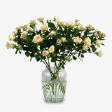 Cashmere Spray Rose