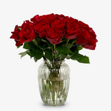 Red Velvet Rose