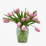 Pink Triumph Tulip